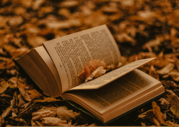 FSSAI Assistant Re Exam Date - 2023