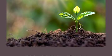 National News   Dec – 23